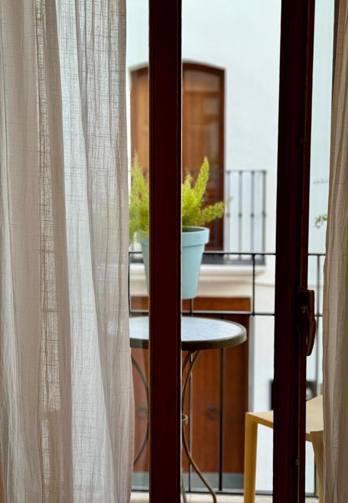 N28 Bed and Breakfast Xàtiva Eksteriør billede